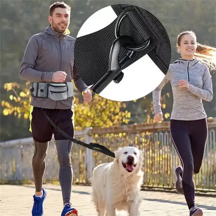 Black Portable Dog Training Bag – Multi-Function Waist Pouch